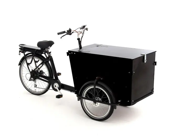 Babboe Pro Trike-E 300L RB/HD 450